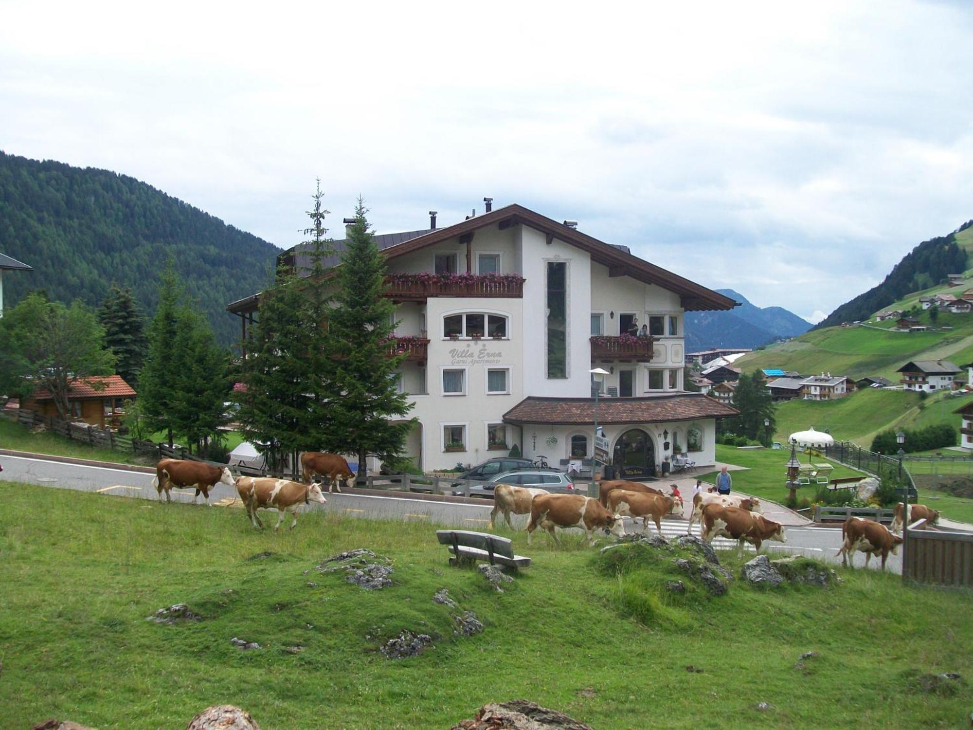Garni Villa Erna Сельва-ди-Валь-Гардена Экстерьер фото